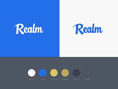 Realm Brand blue branding logo realm royal startup yellow
