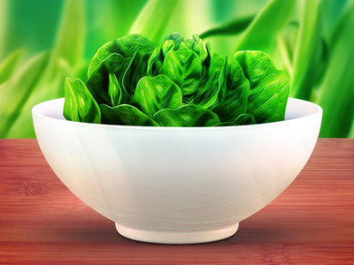 Graphic Design - Bowl of Salad bowl design food graphic graphic design graphics grass green icons illustration illustrators lettus salad table