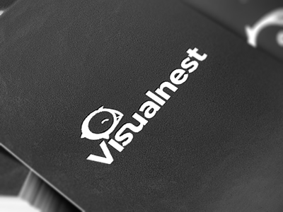 VisualNest Logo bird brand designers logo nest visual