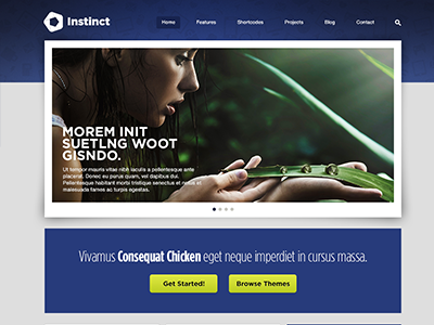 Website Design - Instinct girl instinct layout theme web design website website designers wordpress