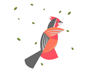 Silence bird bird illustration