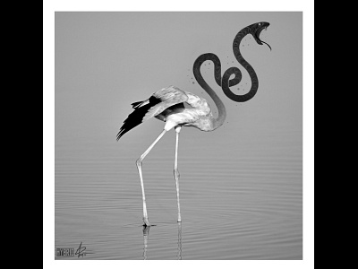 Hybrid series bird flamingo illustration mixed media photography reptile snake