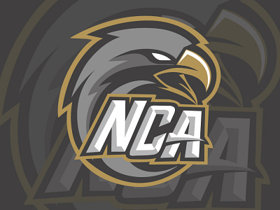 Northpoint Nighthawks logo