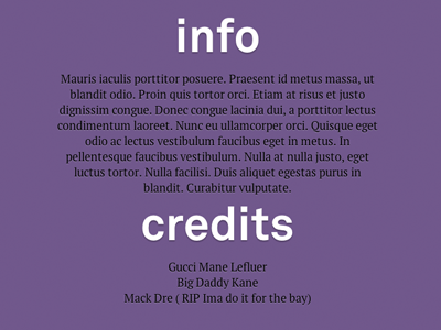 Portfolio Info text