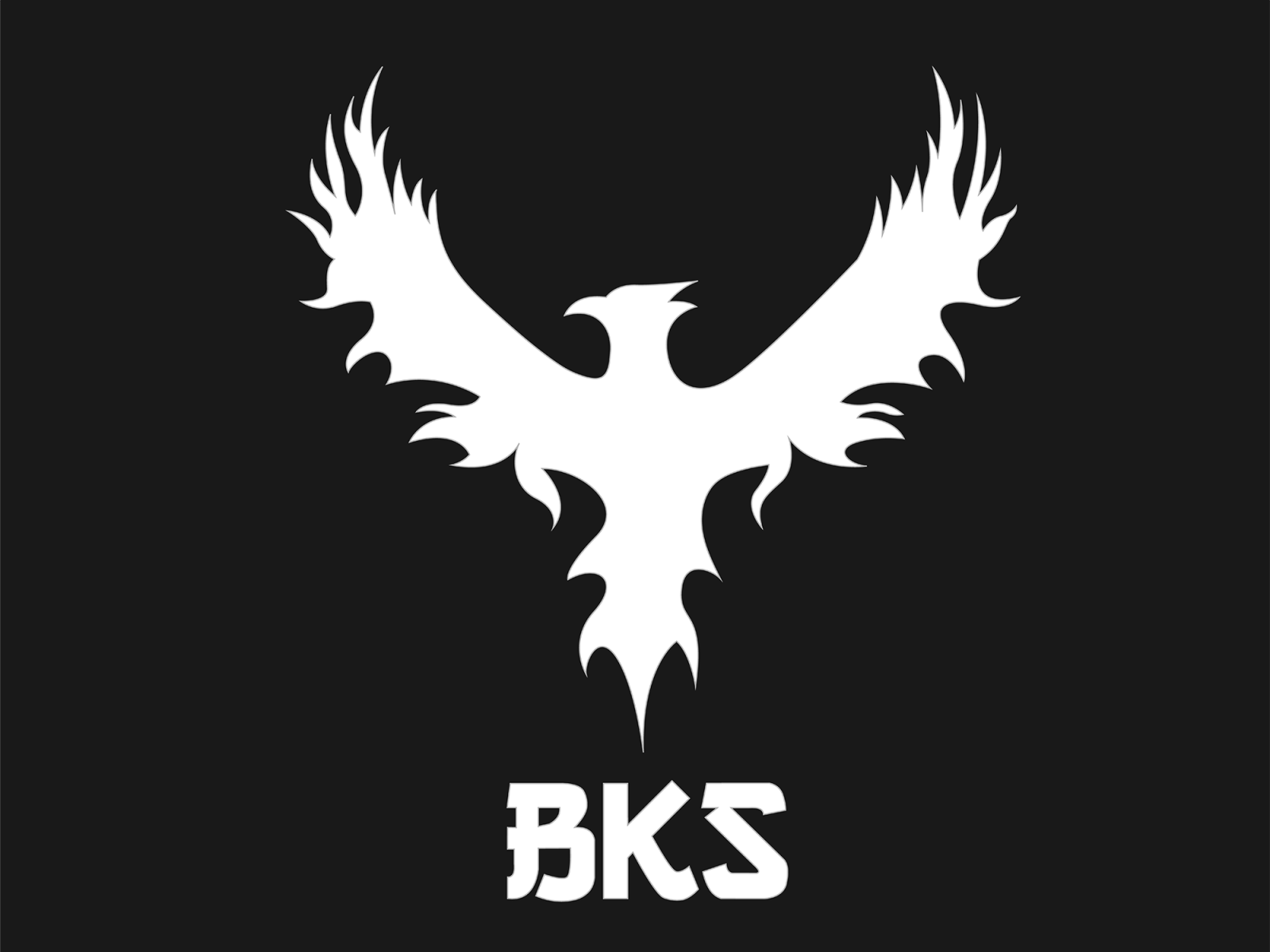 Logo Design - BKS by Jéssica Borges on Dribbble