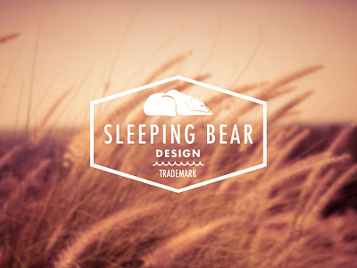 Sleeping Bear Design branding portfolio west michigan
