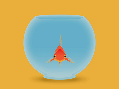 Fish in a bowl aftereffects animation fish gif illustration loop texture