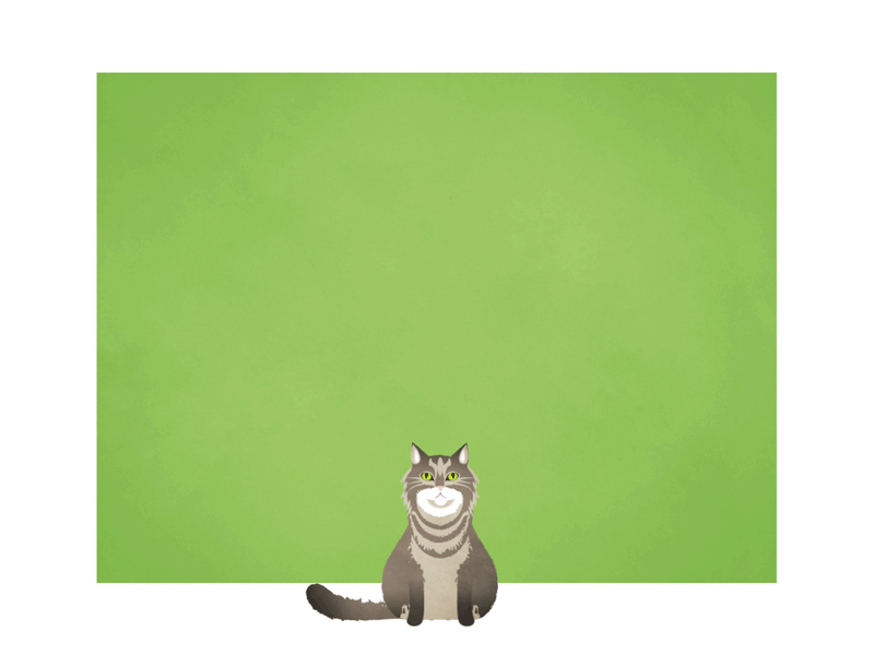 My family in gifs: Lady Whiskers animation cat gif illustration portrait texture vector