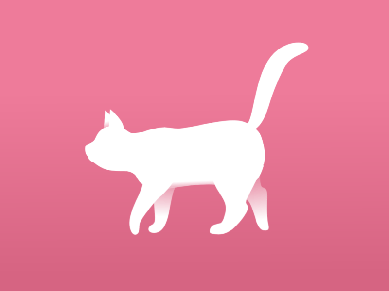 Cat Walk in Pink after effects animation cat illustration pink walk cycle walking