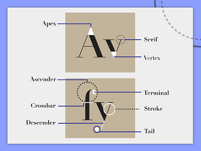 Didot Anatomy of Type anatomy apex ascender crossbar descender didot serif stroke terminal type typeface vertex