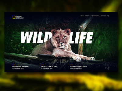 Wild Life Web Page Design :)