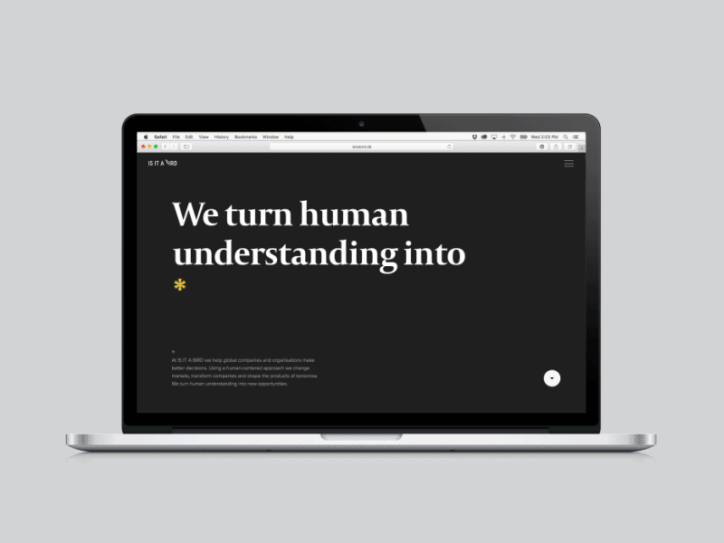 Is It A Bird website animation graphic landingpage typography webdesign