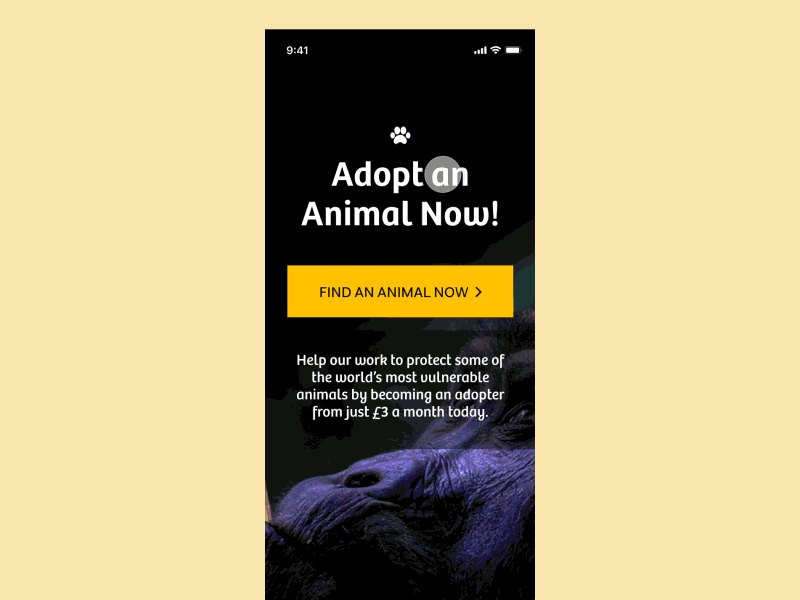 Animal Adoption Prototype #MadeWithAdobeXD animal madewithadobexd prototype ui ux ux design