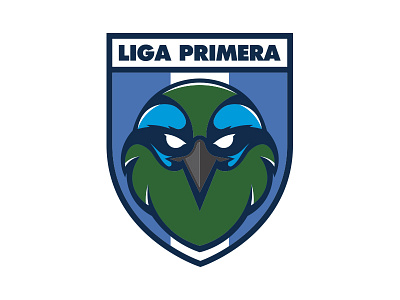 Liga Primera Nicaragua football guardabarranco league liga nica nicaragua soccer