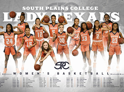 SPC Women's Basketball Team Poster basketball grunge hdr photo poster smoke sport team texture