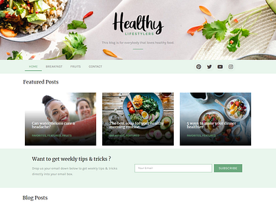 Healthy Blog Website