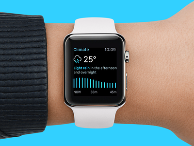 Climate - Weather app for Apple Watch app apple watch icons weather