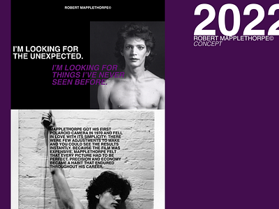 Robert Mapplethorpe concept website