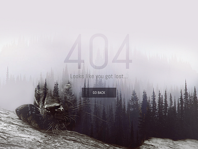 Lost in 404 woods? 404 design flat fog lost photoshop ui ux web woods