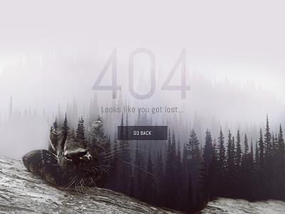 Lost in 404 woods?