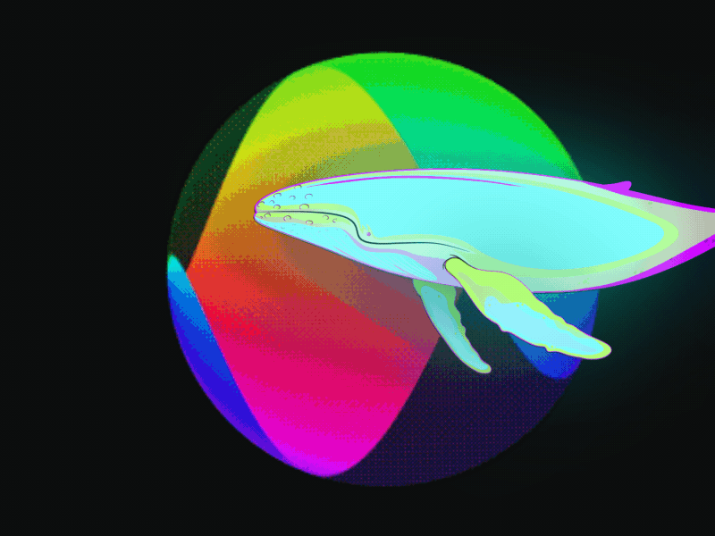Beemloop Animation Studio: Whale