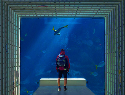 Aquarium (Photo Manipulation) graphic design