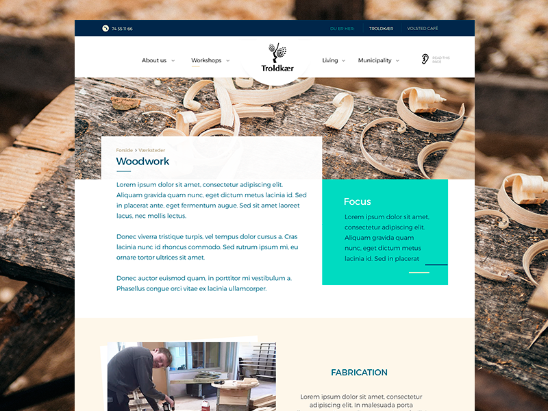 Website design draft website school colors slider