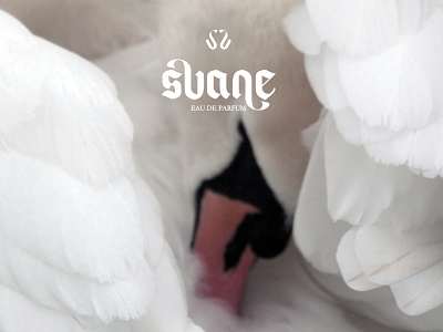 Svane, eau de parfum. branding design graphic design logo typography