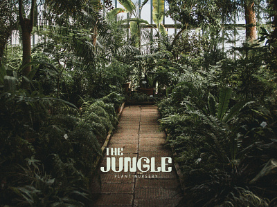 The Jungle, plant nursery. branding design graphic design logo typography