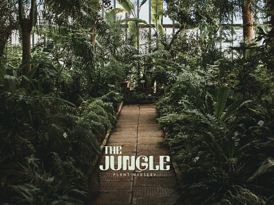 The Jungle, plant nursery.