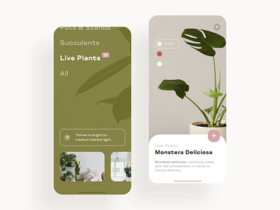 Plant shop app appdesign clean dashboad design ios menu design minimal nature plant product product design product page shop typogaphy ui ui design userinterface website
