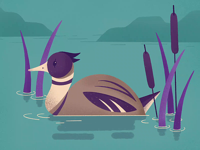 Duck after effects animal animation green illustration lake procreate