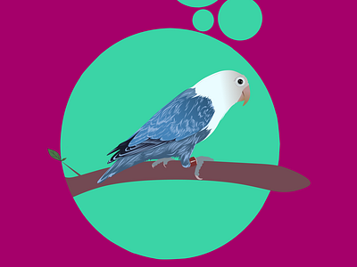Lovebird art bird caricature cartoon design graphic design illustration lovebird mascot vector