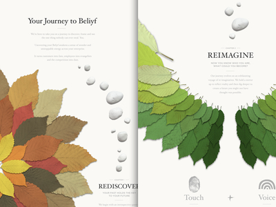 Beliyf Website branding illustration typography ui ui design ux ux design web design website website design