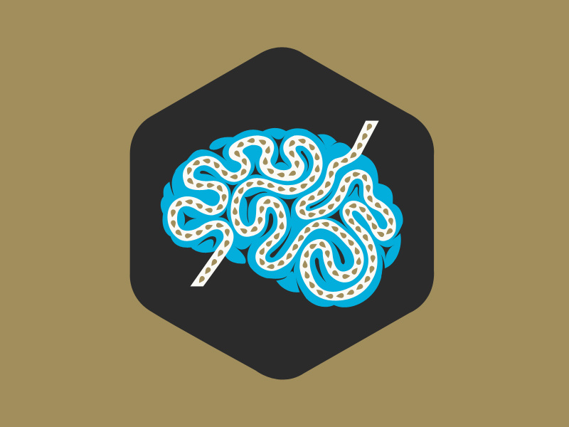 Brain typography website web design ui ux ux design ui design illustration branding website design