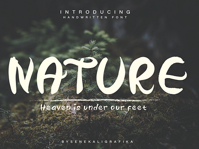 Our Nature Font