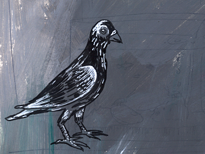 Pigeon mixed media pigeon sketchbook