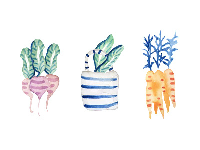Farmers Market Veggies carrot leaves blue vegetarian healthy vegan design farmers market concept illustration watercolor vegetables