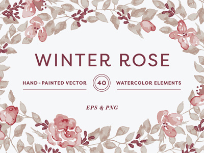 Winter Rose blush clipart creative market design floral flower illustration invitation painted pink vector watercolor