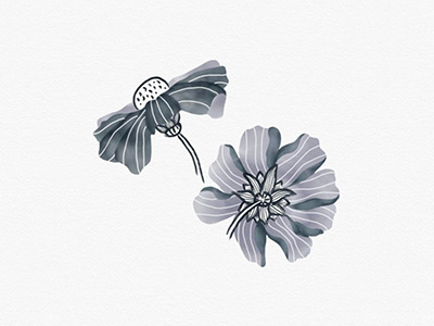Digital Floral Illustration design digital floral flower illustration line painted watercolor