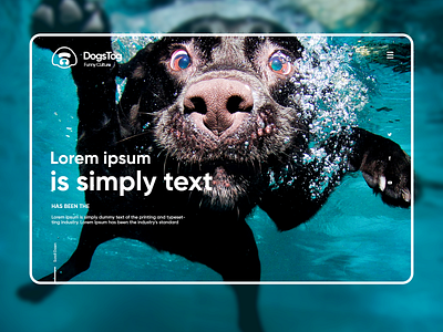 Dogs Tog / Funny Culture website website design