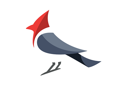 Red Crested Cardinal