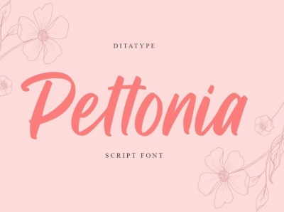 Pettonia - Script Font branding design font fonts graphic design logo logotype typography ui