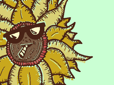 Sunflower Band Illustration band doobie florida hand type illustration joint offset reggae screenprint sunflower