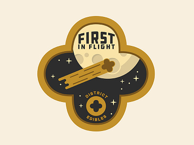 Space Flight Patch