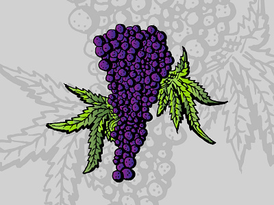 Grapes • Strain Illustrations