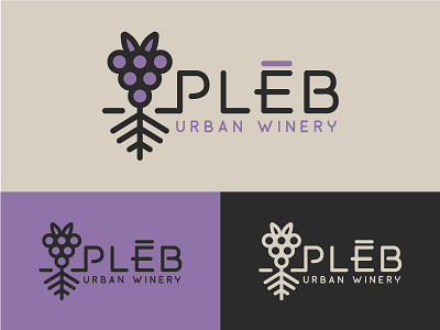 Winery Branding 3 alcohol asheville grape line modern monoweight north carolina roots urban wine