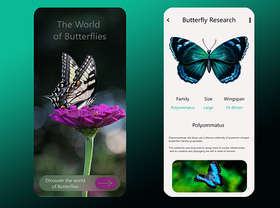 The world of Butterflies animals app design butterflies graphic design ui ui design ux