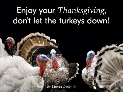 Happy Thanksgiving! 🖤 Bá card greeting holiday