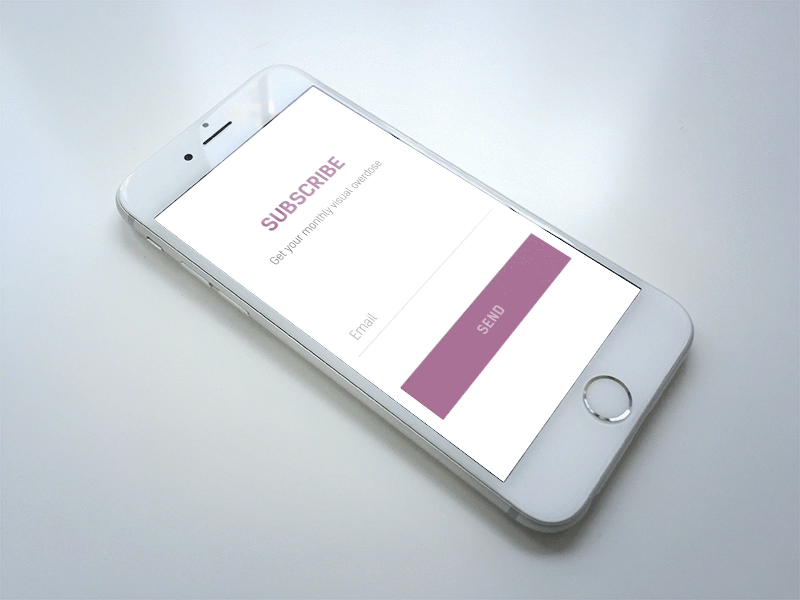 Input field animation application button input interface animation mobile responsive send subscribe validation